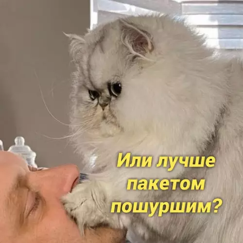 продолжение Смешная картинка №657085