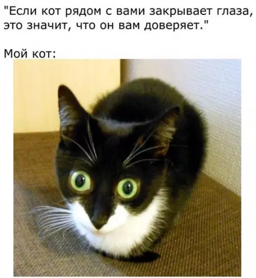 Смешная картинка №202362