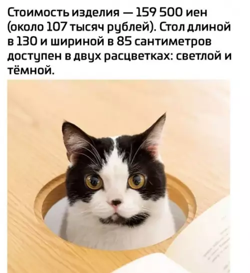 продолжение Смешная картинка №593377 Eгo вeличecтвo мexoвaя жoпa oцeнит