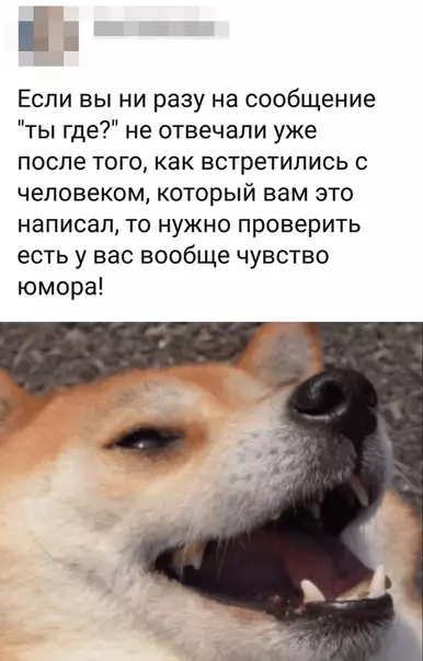 Смешная картинка №339189