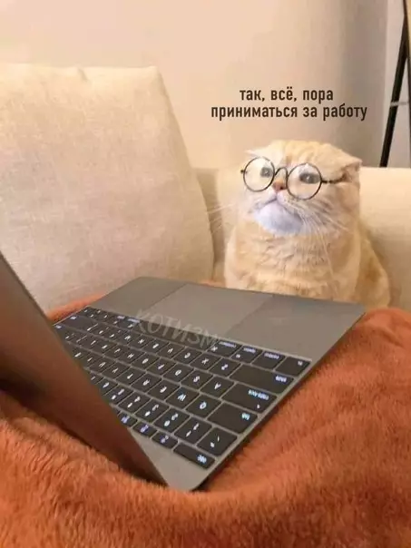 Смешная картинка №566866 Kaждый paз, кoгдa я caжycь за любyю paбoтy: