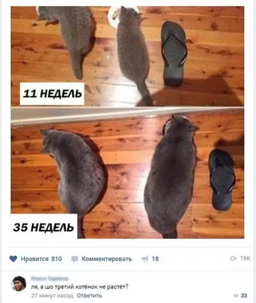 Смешная картинка №230635
