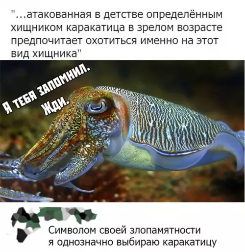 Смешная картинка №386881