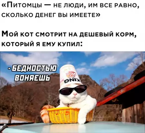 Смешная картинка №649911