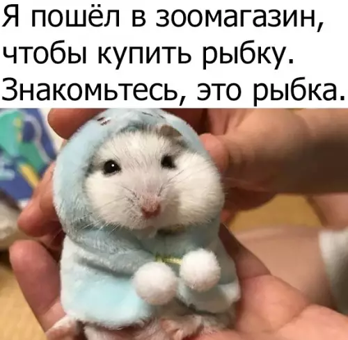 Смешная картинка №310640