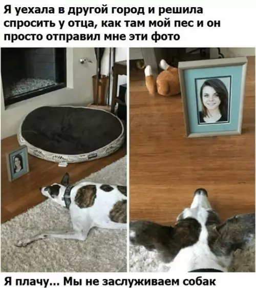 Смешная картинка №439771 снова плакать