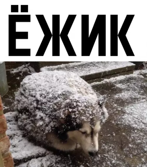Смешная картинка №319396
