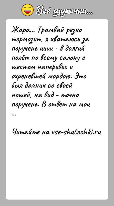 История: Жара... Трамвай резко тормозит, я хватаюсь за поручень ииии - в долгий полёт по всему салону с шестом наперевес и