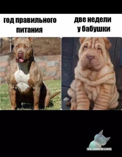 Смешная картинка №333889