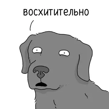 продолжение Смешная картинка №758921