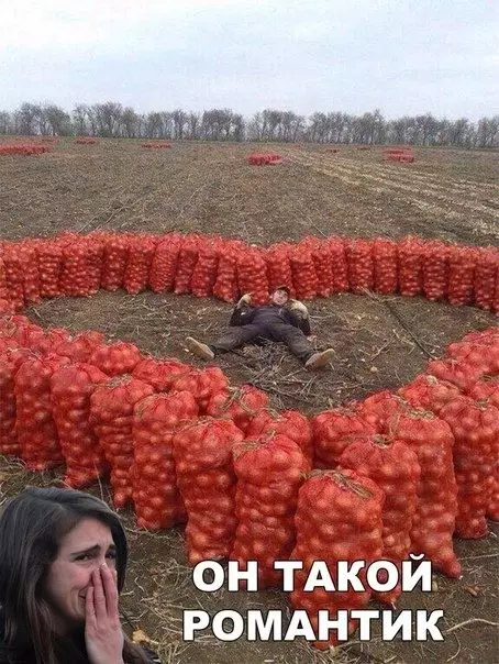 Смешная картинка №447242