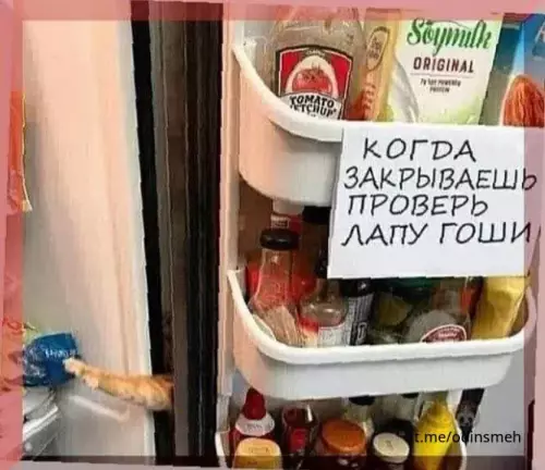Смешная картинка №667152 картинки