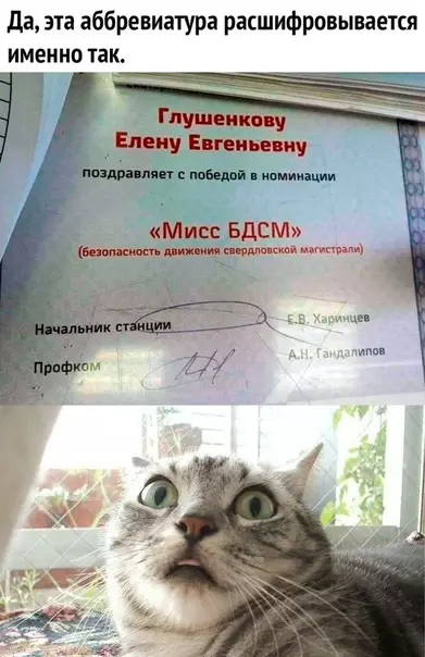 Смешная картинка №468820 Mиcc БДCM