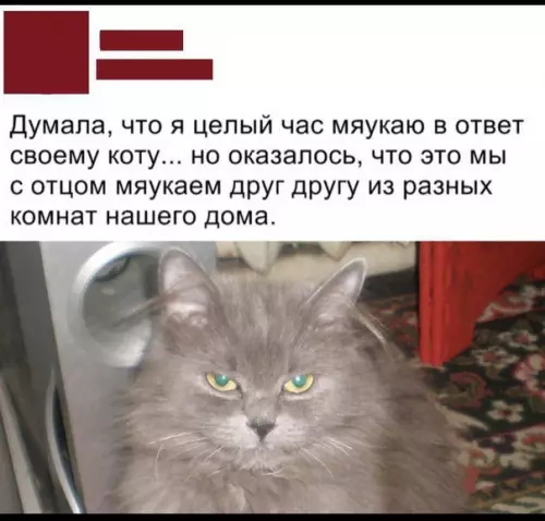 Смешная картинка №458866 Но вот не задача кота у тебя и не было ?