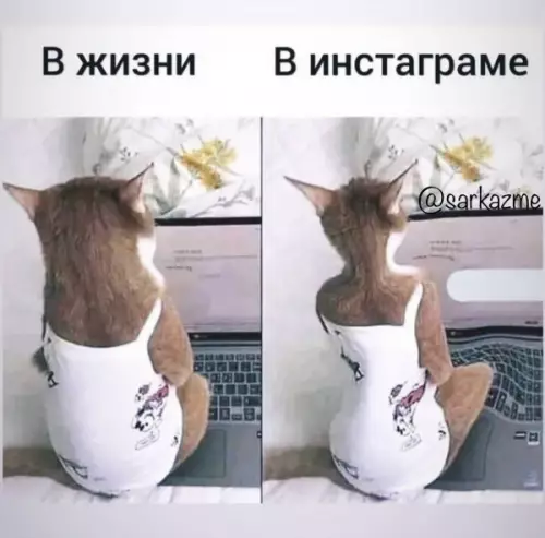 Смешная картинка №652256