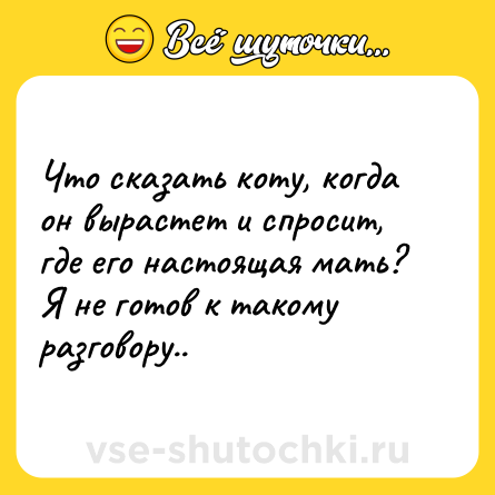 Шутка: Что сказать коту, когда он вырастет и спросит, где его настоящая мать? <br>Я не готов к такому разговору..