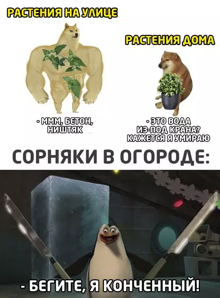 Смешная картинка №574705