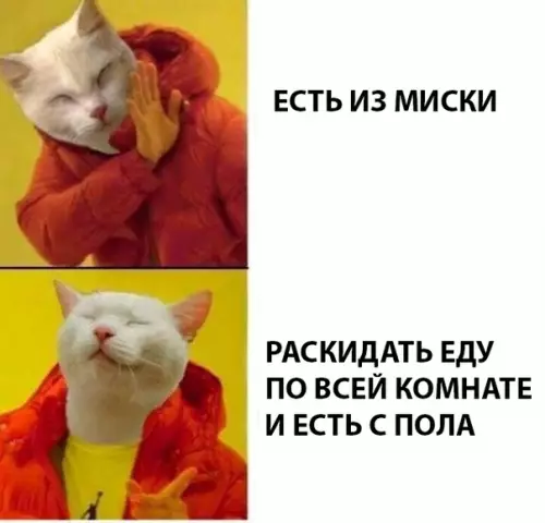 Смешная картинка №294189