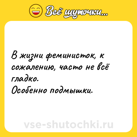 Шутка: В жизни феминисток, к сожалению, часто не всё гладко.<br>Особенно подмышки.