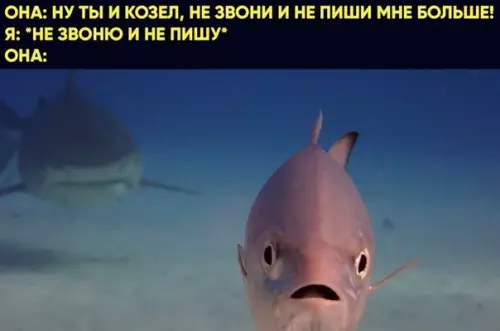 Смешная картинка №474300