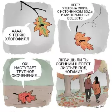 Смешная картинка №788979