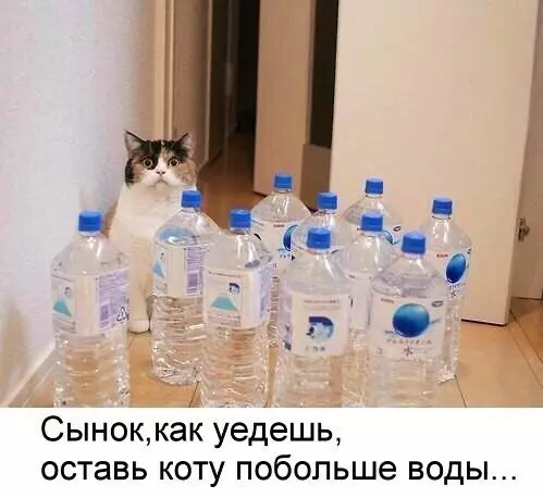 Смешная картинка №211409