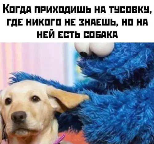 Смешная картинка №447186