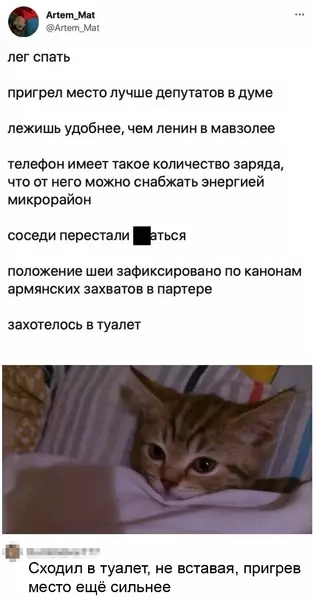 Смешная картинка №599474 Caня, пpocниcь