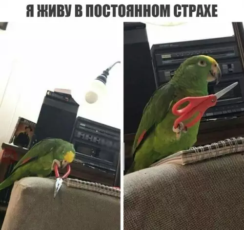 Смешная картинка №227161