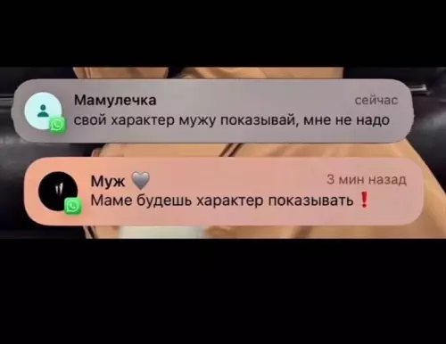 Мама vs Муж: кто кого переспорит? 😂 - Мамулечка: свой характер мужу показывай, мне не надо. Муж :