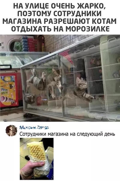 Смешная картинка №571542