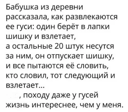 Смешная картинка №266431