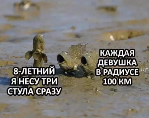 Смешная картинка №649590