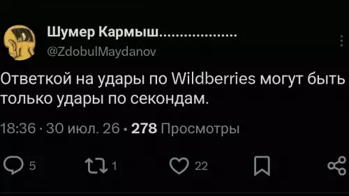Wildberries vs Секунды: разборка века! 😂 - Ответкой на удары по Wildberries могут быть только удары по