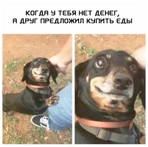 Смешная картинка №374017