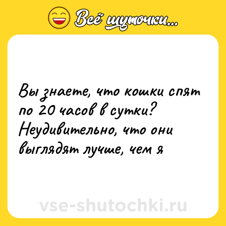 Шутка: Вы знаете, что кошки спят по 20 часов в сутки? Неудивительно, что они выглядят лучше, чем я
