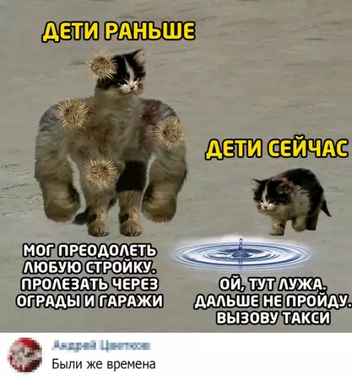 Смешная картинка №508532