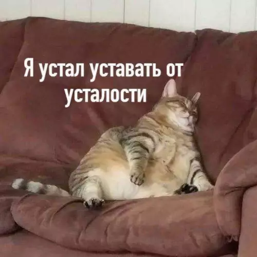 Смешная картинка №737678