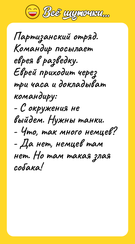 Партизанский отряд. Командир посылает еврея в разведку. Еврей приходит через