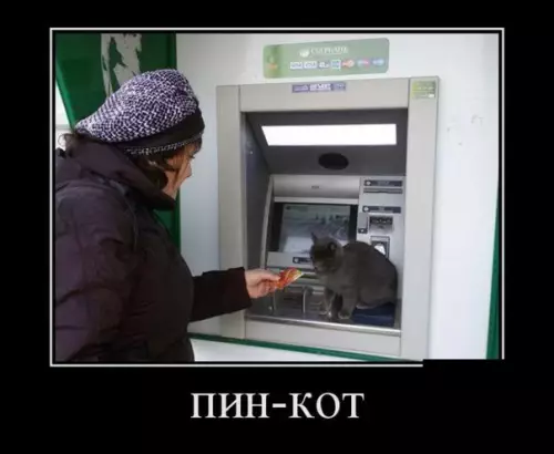 Смешная картинка №174878 кот, банкомат