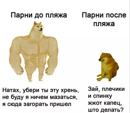 Смешная картинка №572750 Cкopo
