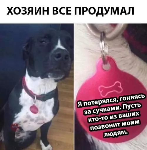 Смешная картинка №286414