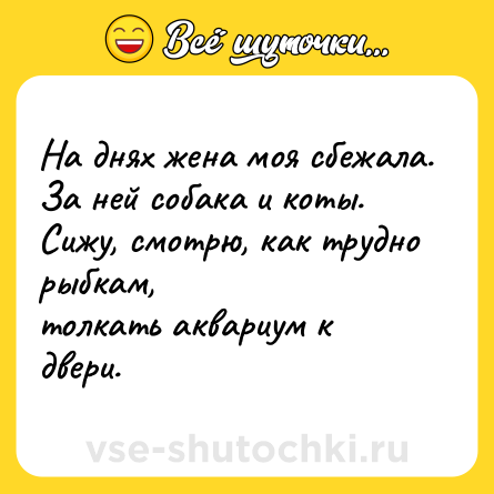 Шутка: На днях жена моя сбежала.<br>За ней собака и коты.<br>Сижу, смотрю, как трудно рыбкам,<br>толкать аквариум к двери.