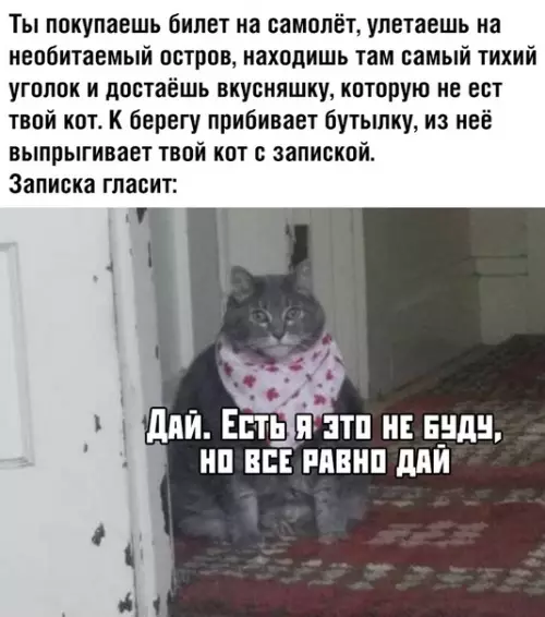 Смешная картинка №373844