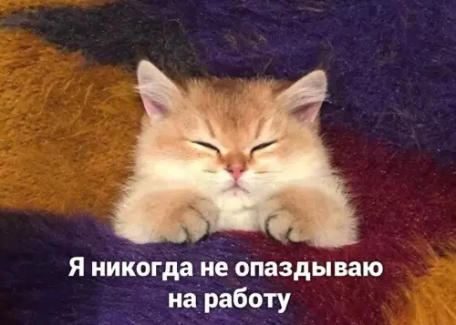 Смешная картинка №598892 А, ну тогда понятно..