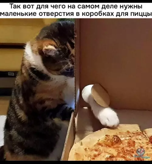 Смешная картинка №774307