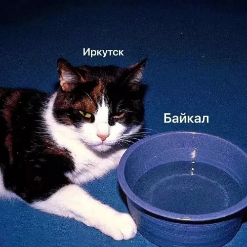 Смешная картинка №773609