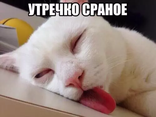 Смешная картинка №221268