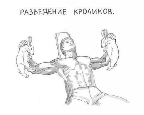 Смешная картинка №705018