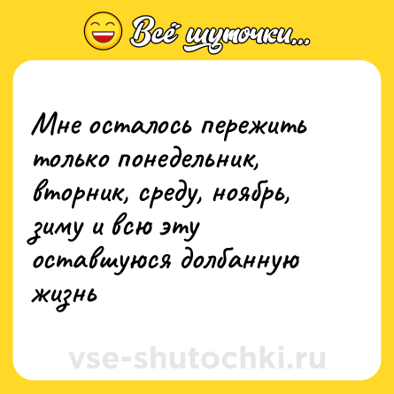 Шутка: Мне осталось пережить только понедельник, вторник, среду, ноябрь, зиму и всю эту оставшуюся долбанную жизнь
